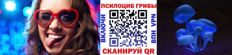 Галлюциногенные грибы Magic Shrooms  купить наркоту  Камызяк 